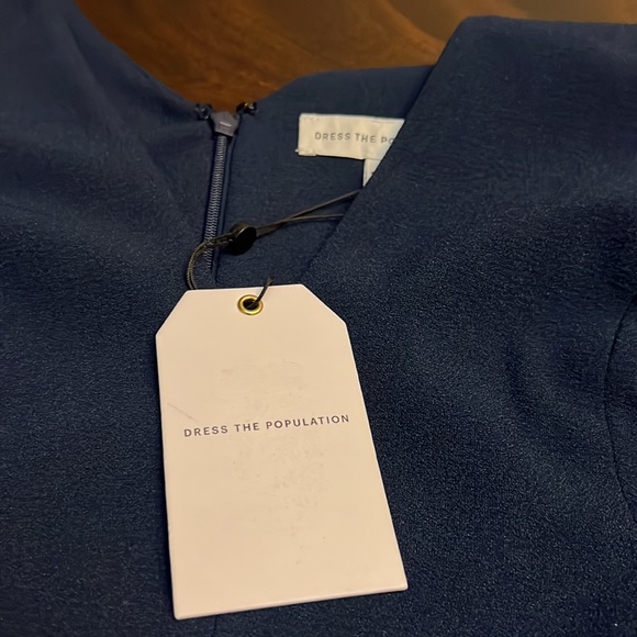 Dress the Population Corey V-Neck Cap Sleeve Lace Hem Dress - Picture 15 of 15